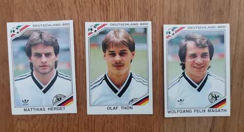 Panini mexico sticker - panini, wm